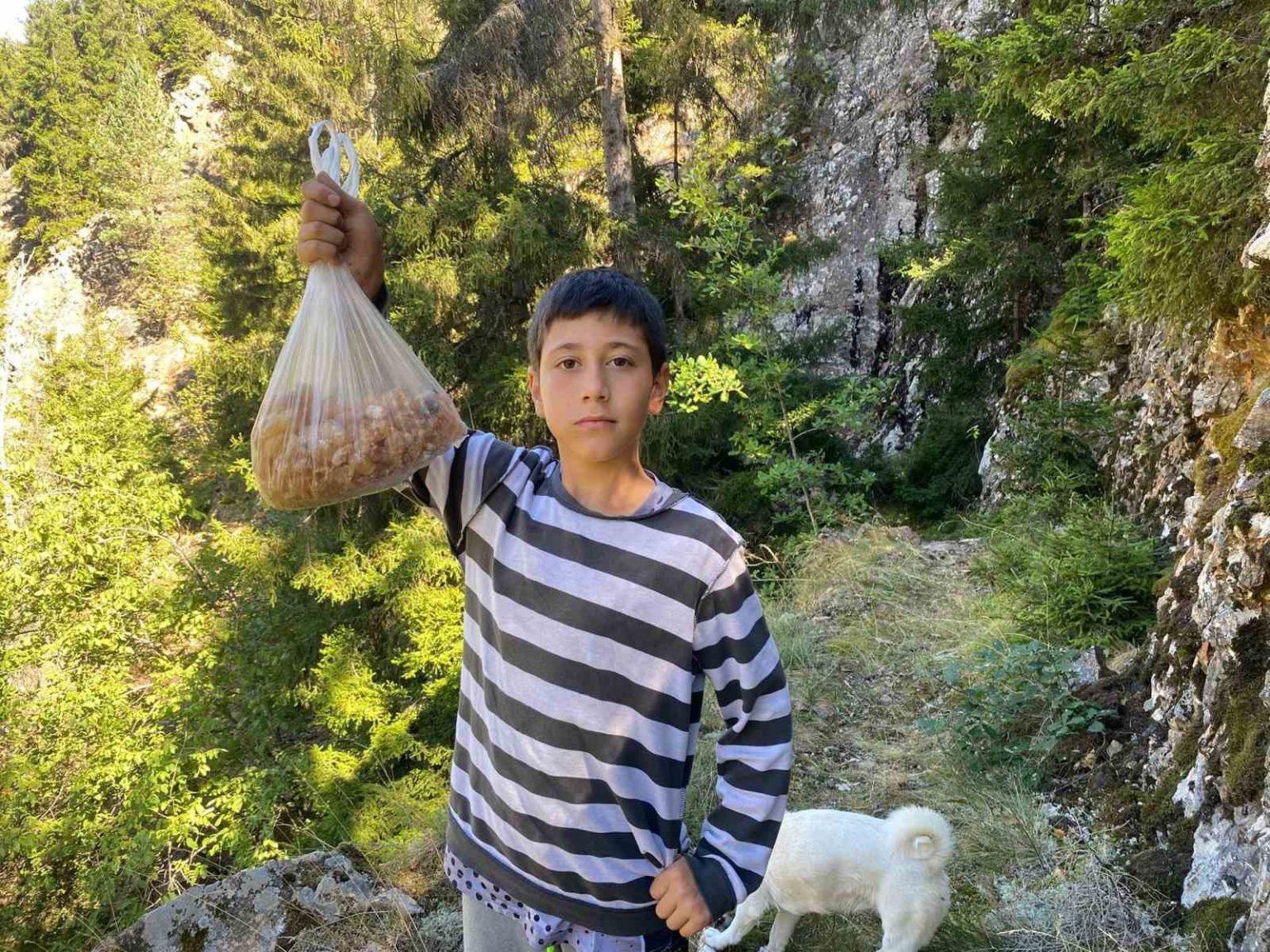 artvinli-minik-eymen-hafta-sonlari-cam-sakizi-toplayarak-kilosunu-5-bin-liraya-satiyor