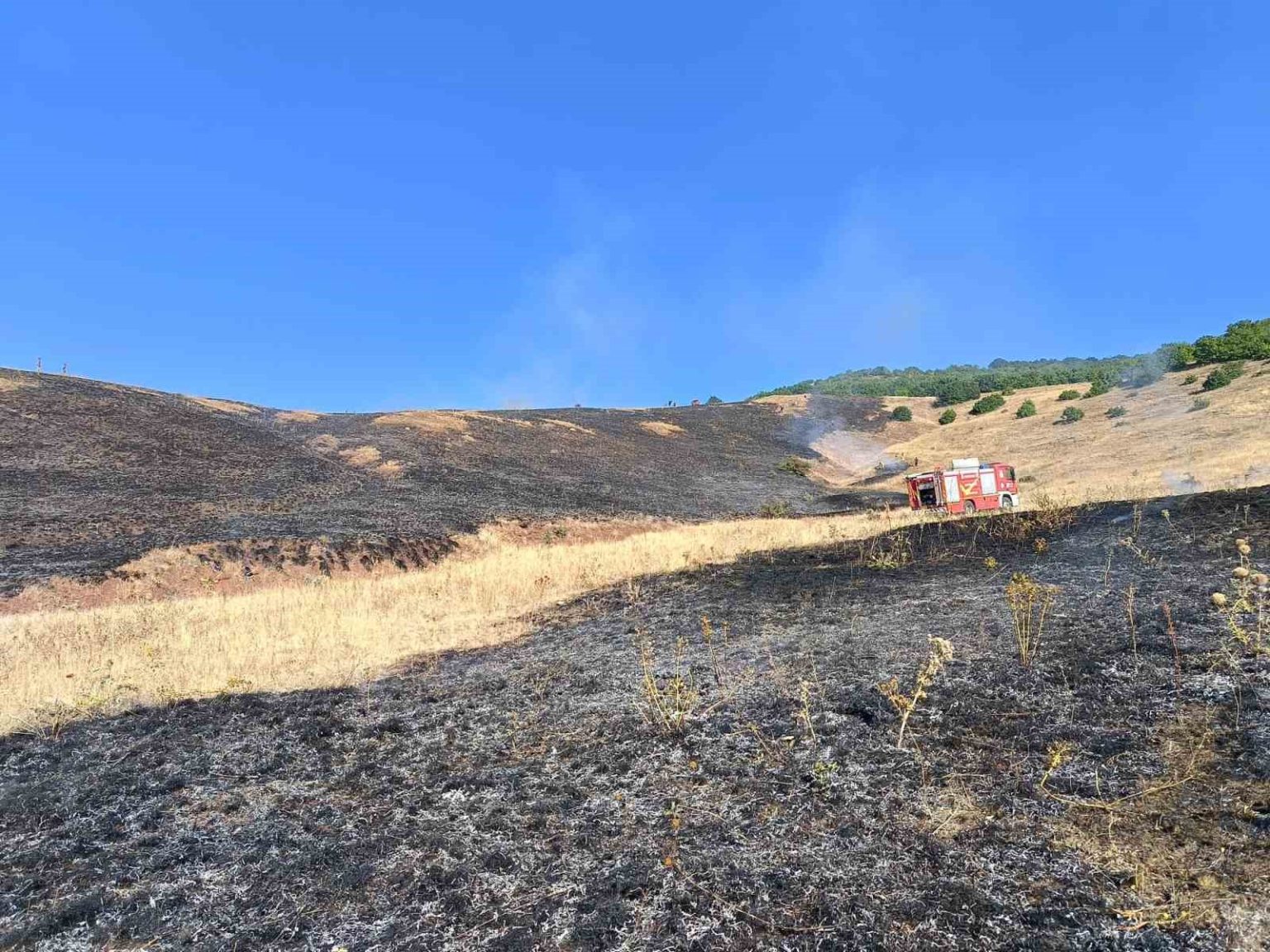 askale-guneycam-koyunde-aniz-yangini-100-donum-alan-kul-oldu