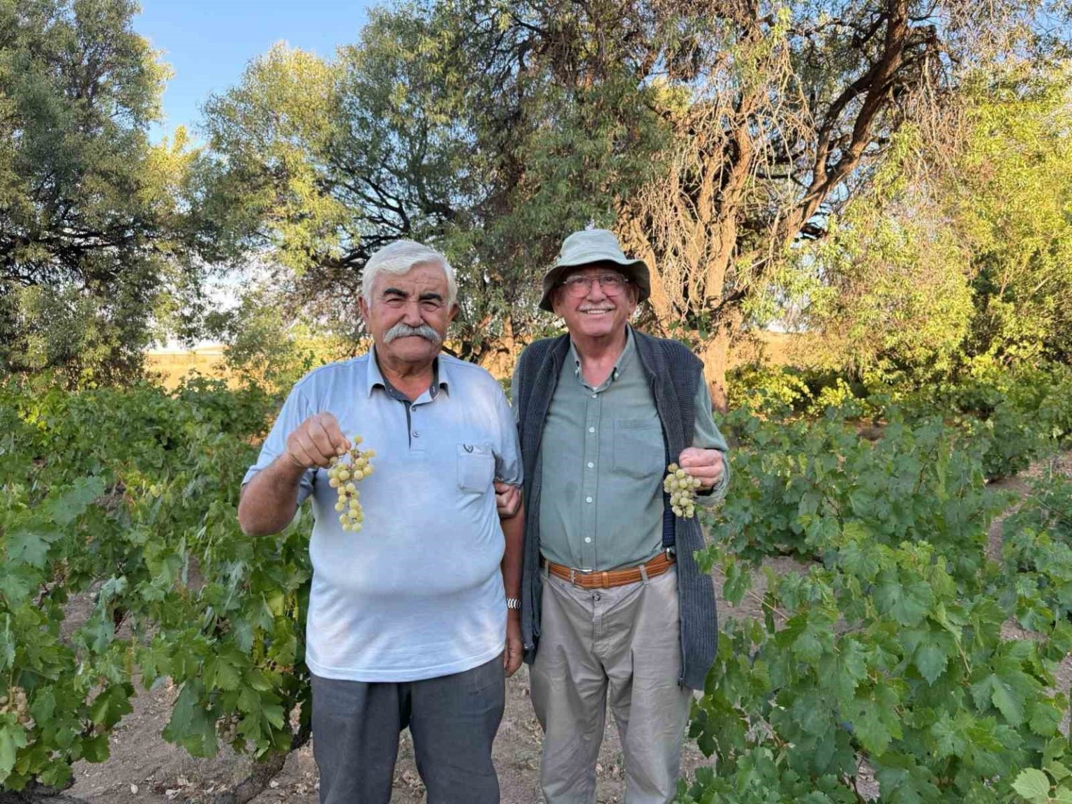 ata-tohumundan-elde-edilen-uzumleri-lezzetiyle-dikkat-cekiyor