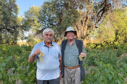 ata-tohumundan-elde-edilen-uzumleri-lezzetiyle-dikkat-cekiyor