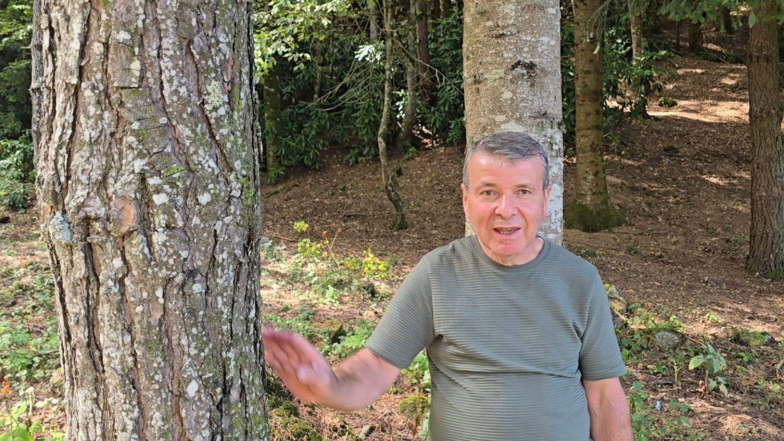 bin-200-kilometre-uzaktan-gelip-diktigi-fidanlar-orman-oldu