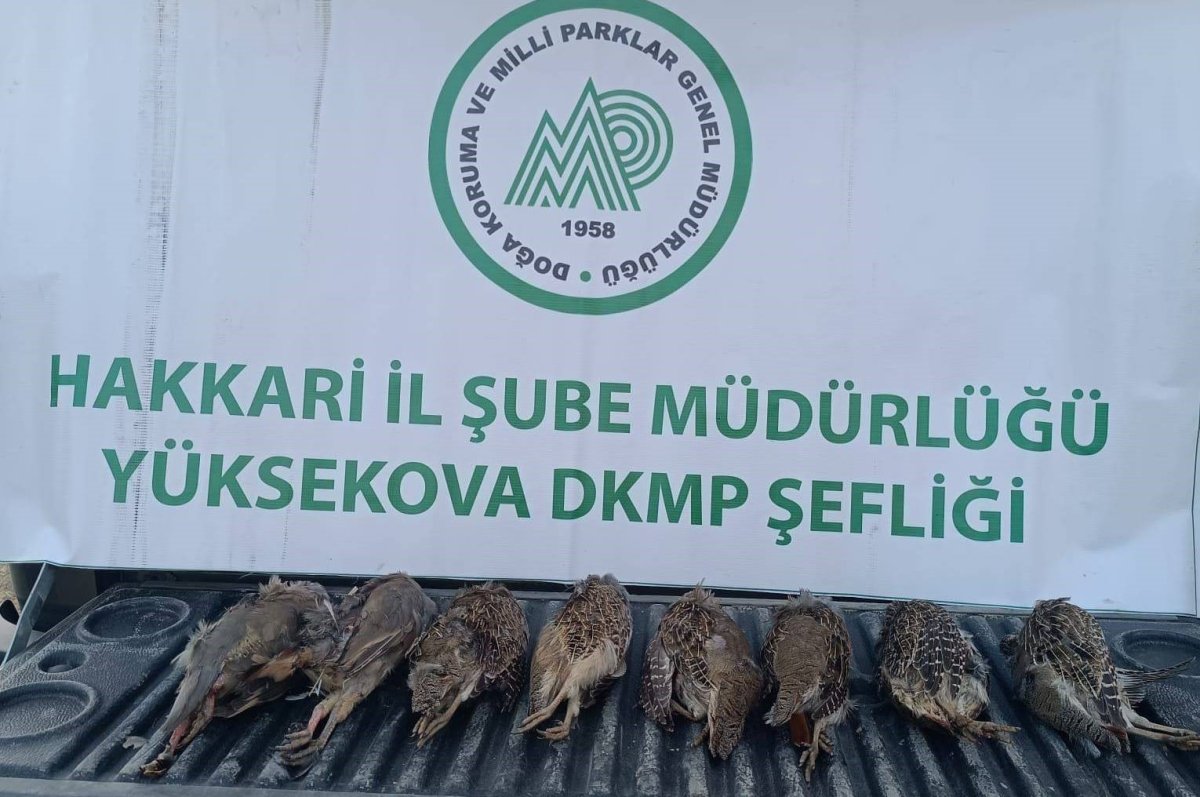 dkmp-ekipleri-kacak-keklik-avlayan-sahsa-cezai-islem-uyguladi