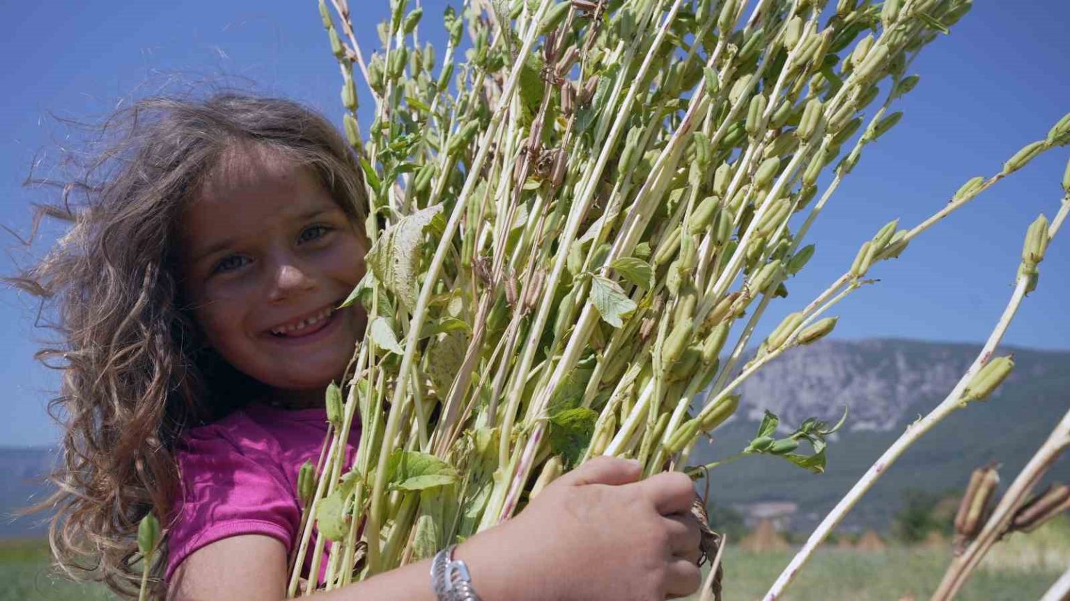 japonlarin-susi-susami-gokovadan