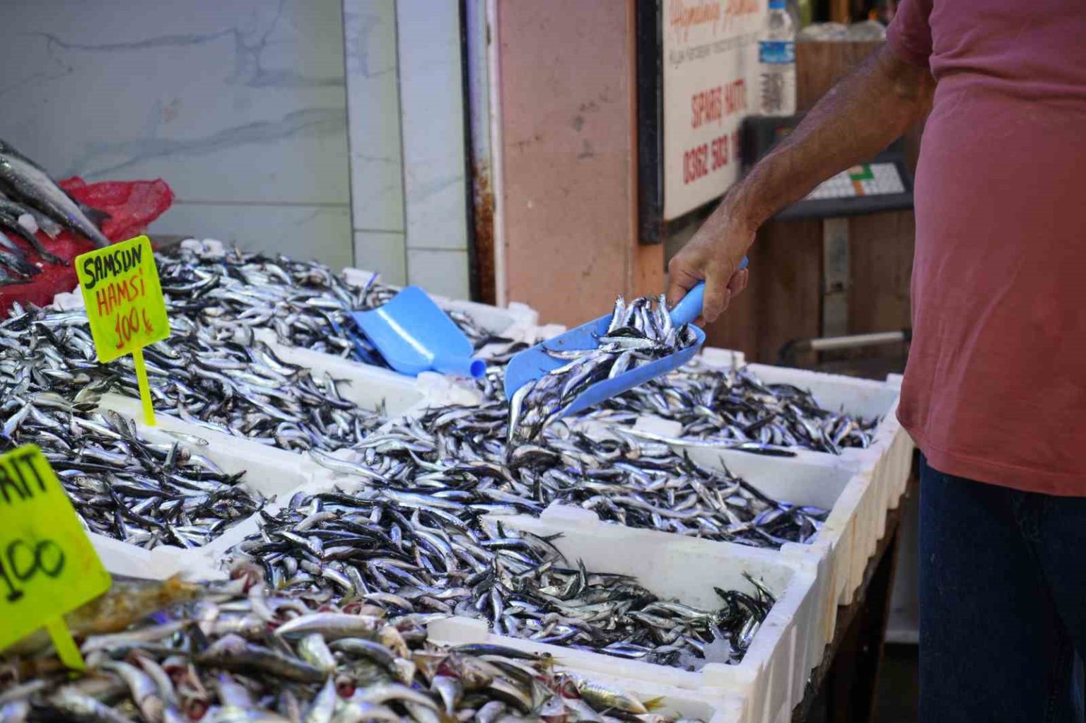 karadenizin-incisi-hamsi-tezgahlarda-ne-alirsan-100-tl