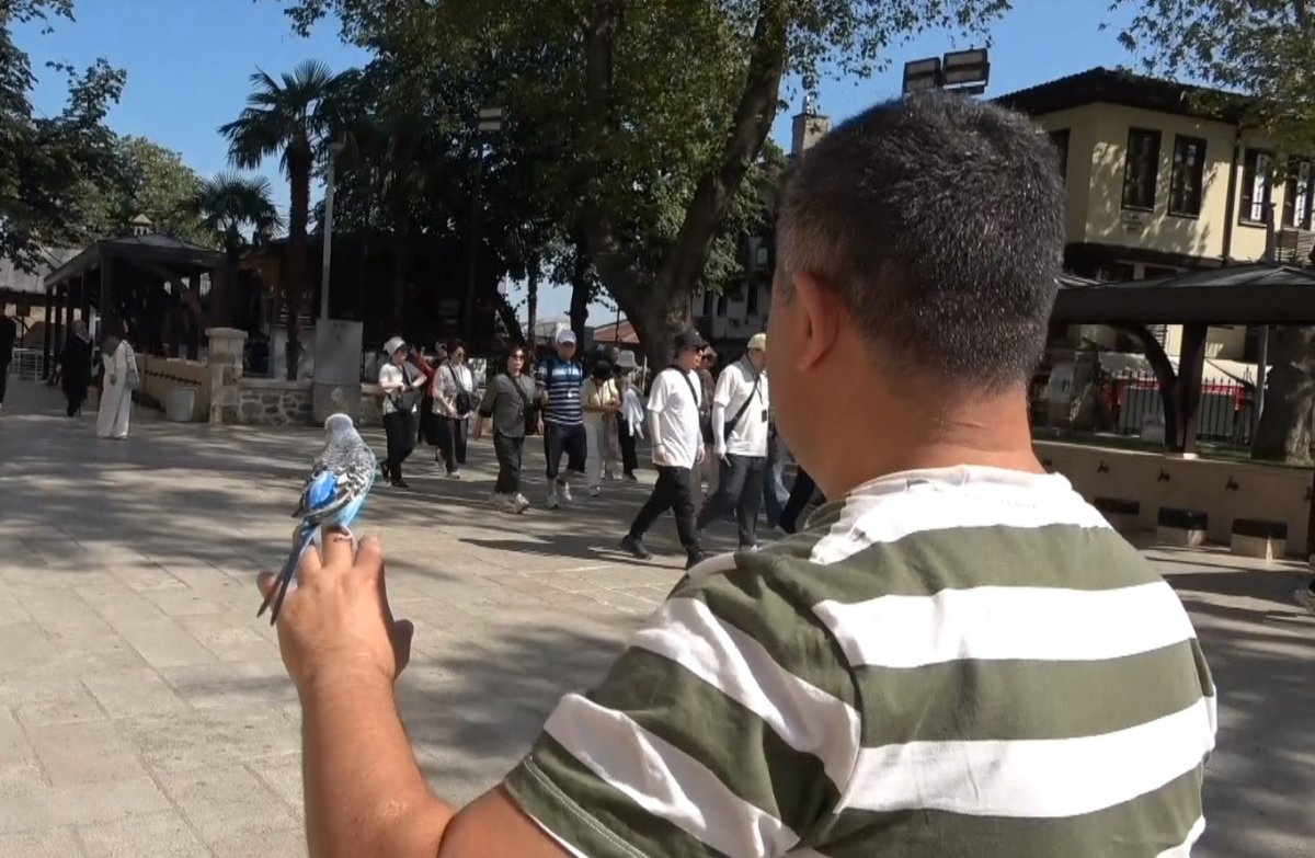 sahibinin-omzunda-ve-elinde-carsiyi-geziyor