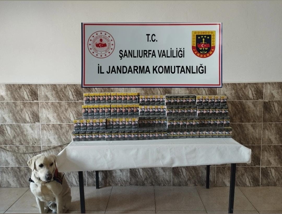 sanliurfada-420-paket-gumruk-kacagi-sigara-ele-gecirildi