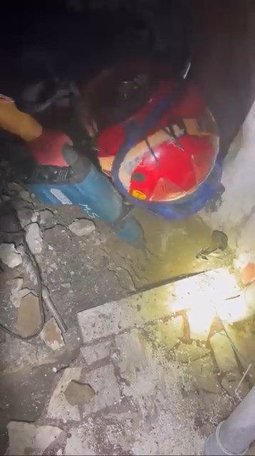 yaramaz-kedi-kaza-kaza-kendini-topraga-gomdu