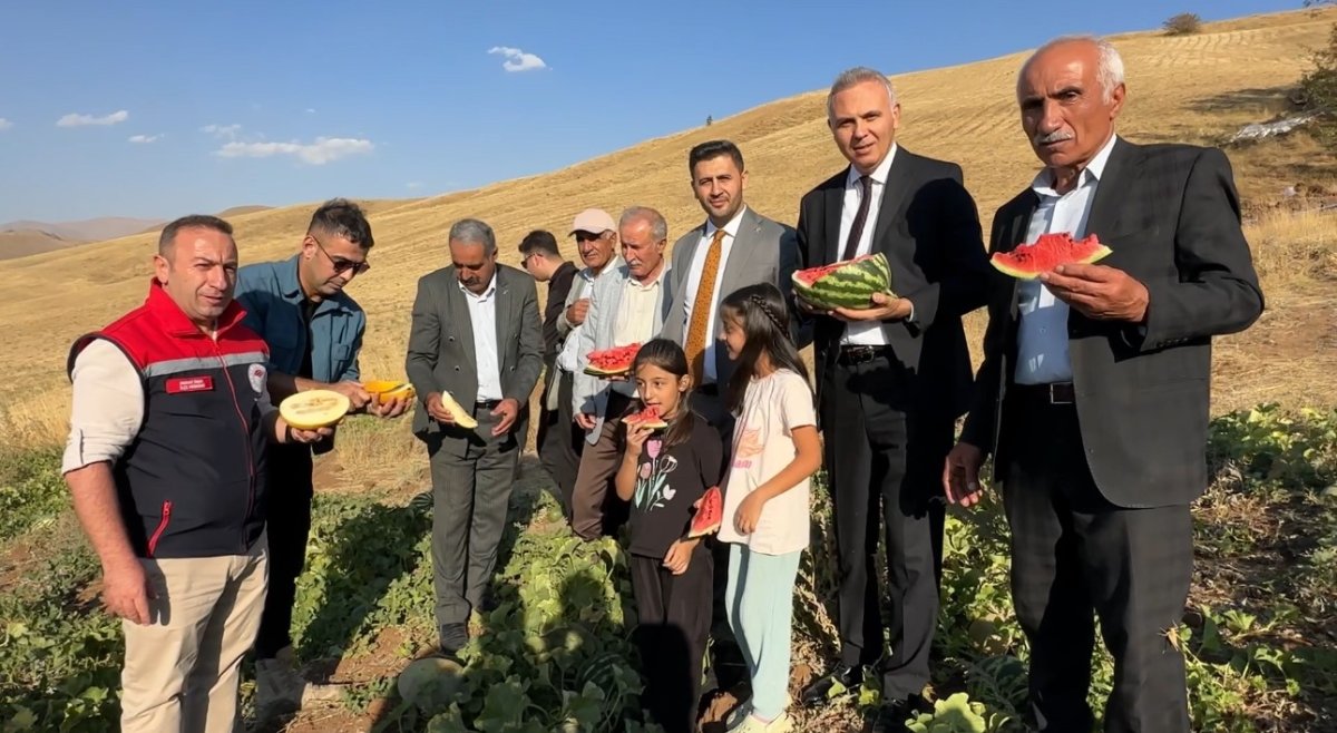 yuksekovada-misir-karpuz-ve-kavun-hasadi-yapildi