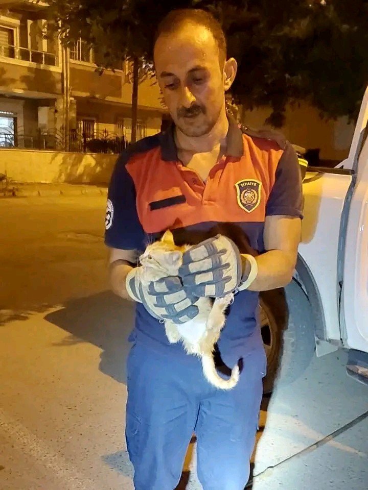 aracin-motor-kismina-giren-yavru-kediyi-itfaiye-ekipleri-kurtardi