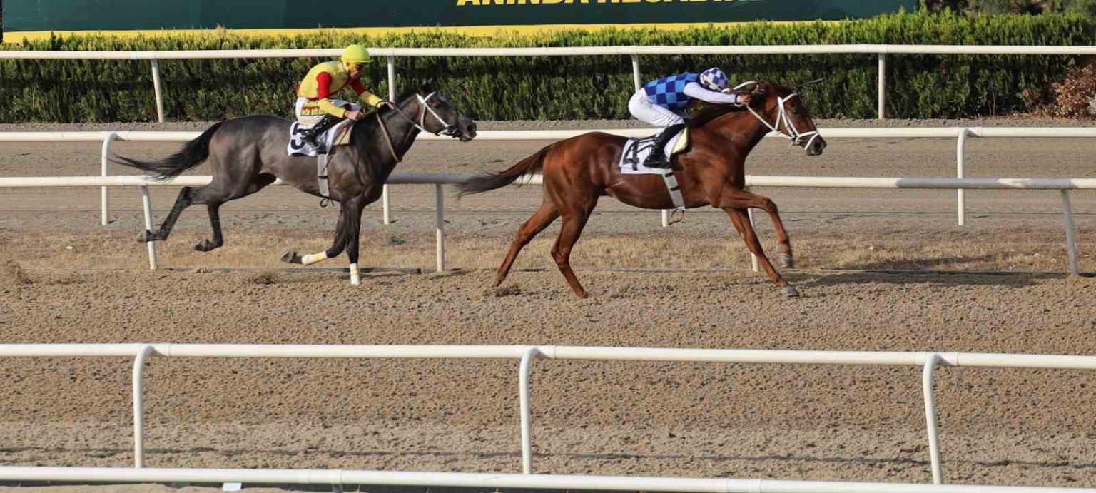 bursada-buyuksehir-baskanlik-kosusu