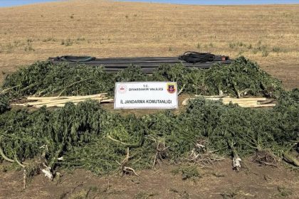 diyarbakirda-uyusturucu-operasyonu-28-supheli-hakkinda-islem-yapildi