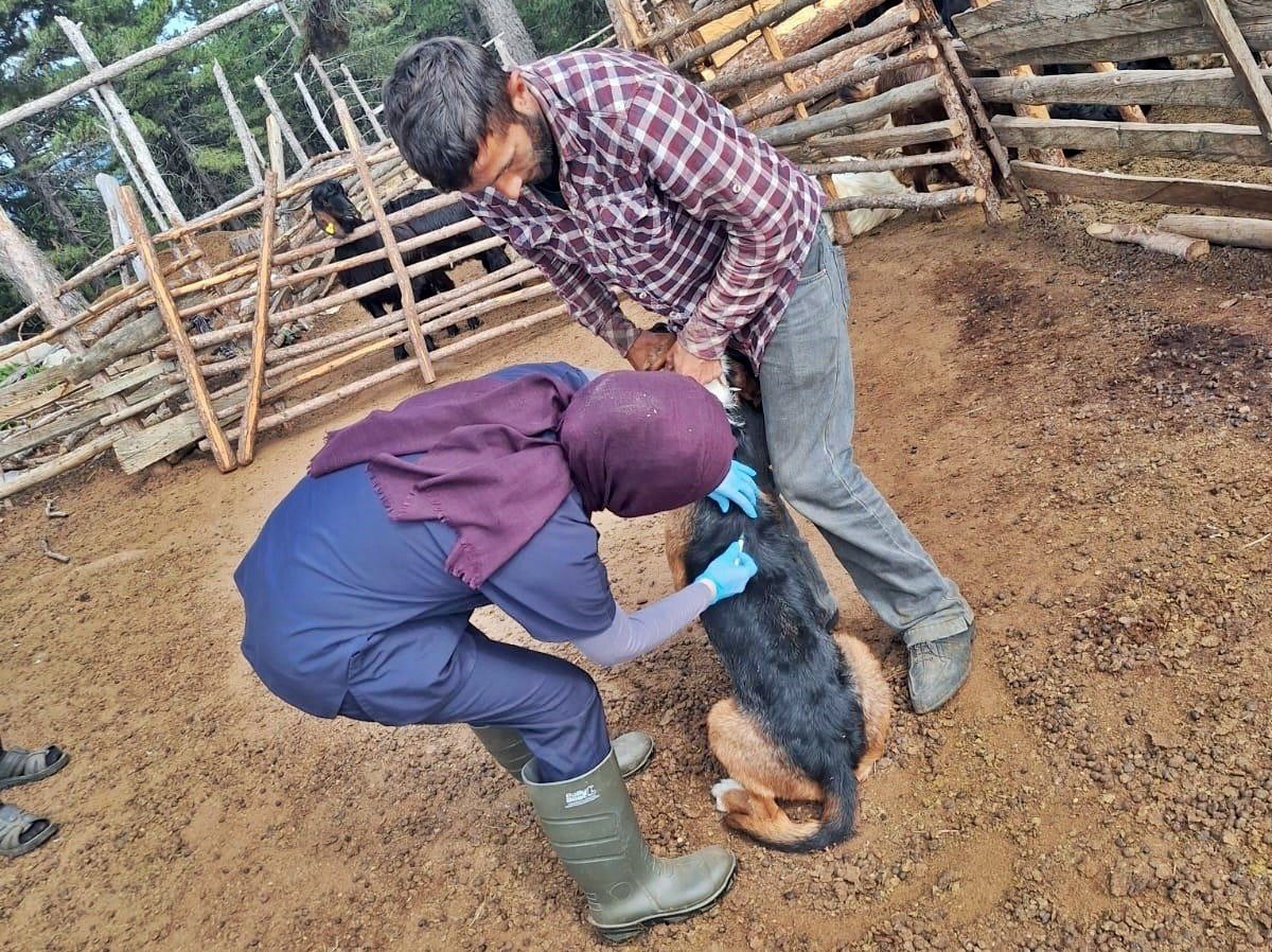 emette-kucukbas-hayvan-sagligi-calismalari