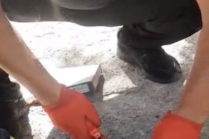 kafasi-plastik-kavanoza-sikisan-kediyi-itfaiye-kurtardi