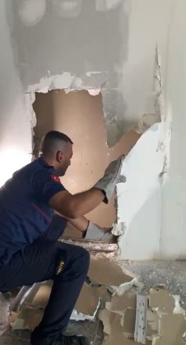 osmaniyede-duvara-sikisan-yavru-kedi-itfaiye-tarafindan-kurtarildi