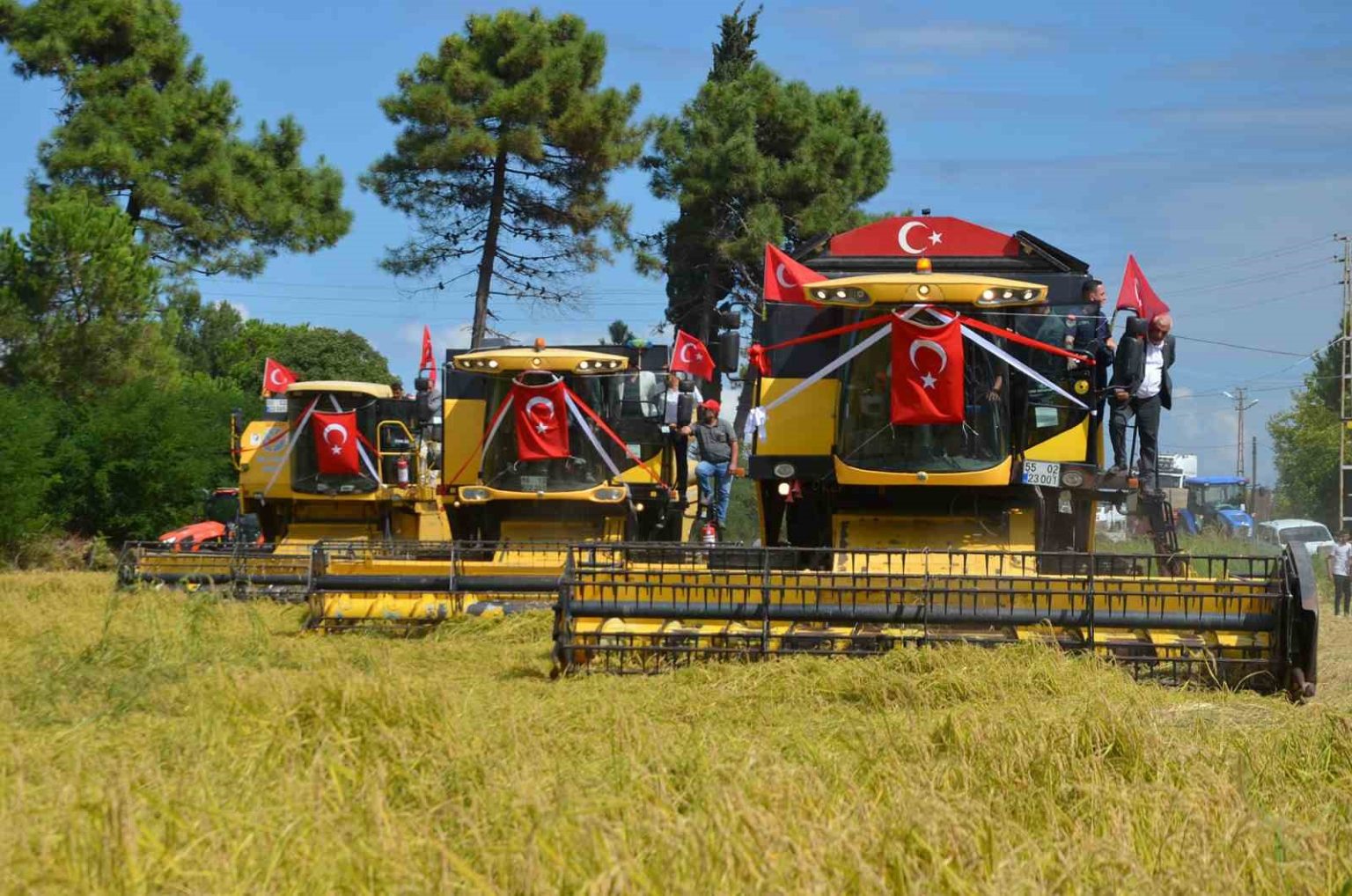 samsunda-1-celtik-hasat-gunu