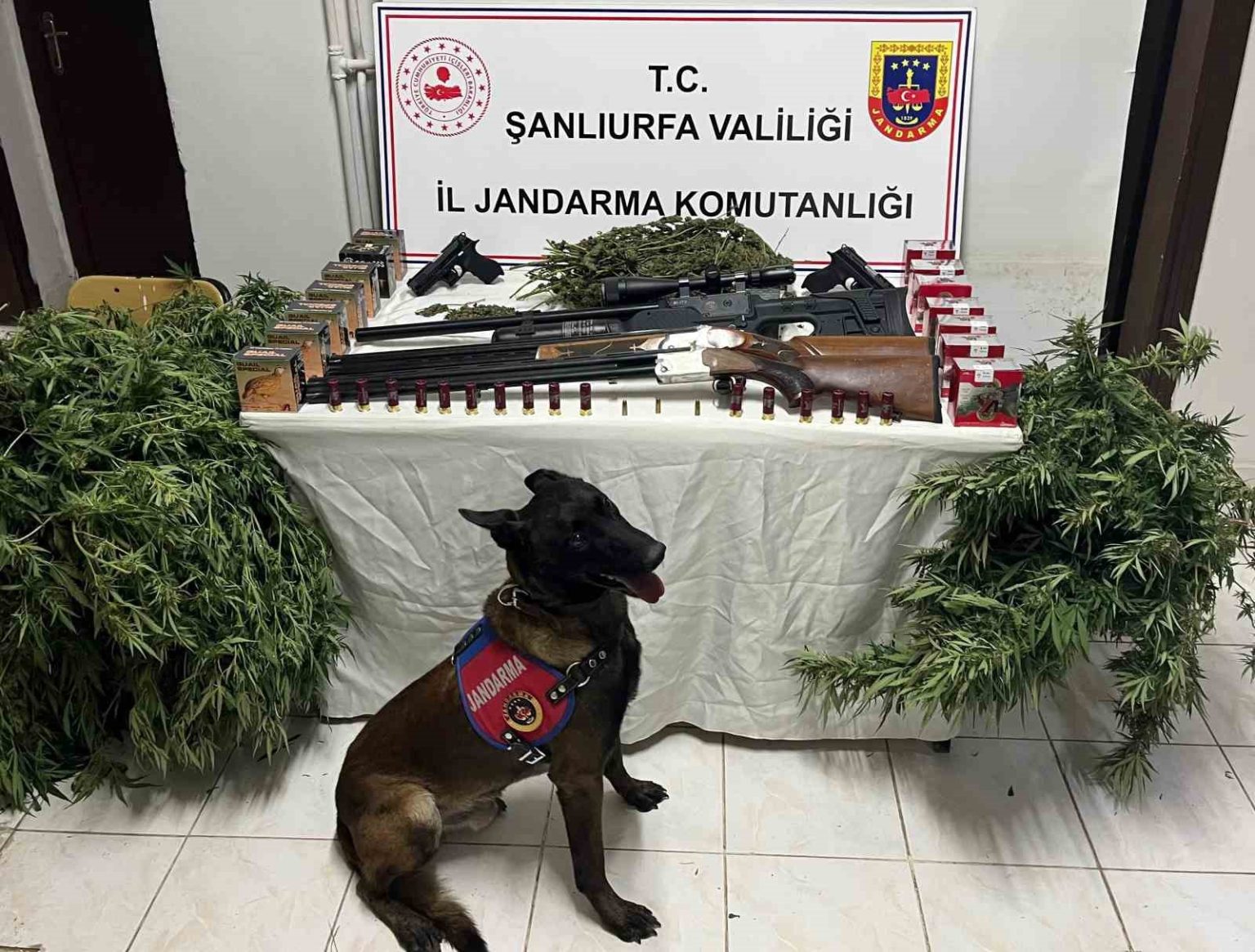 sanliurfada-1-kilo-508-gram-kubar-esrar-ele-gecirildi-3-gozalti