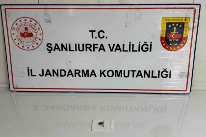 sanliurfada-uyusturucu-operasyonu-4-gozalti