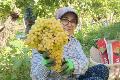 sarigolde-yas-uzum-piyasasi-hareketlendi