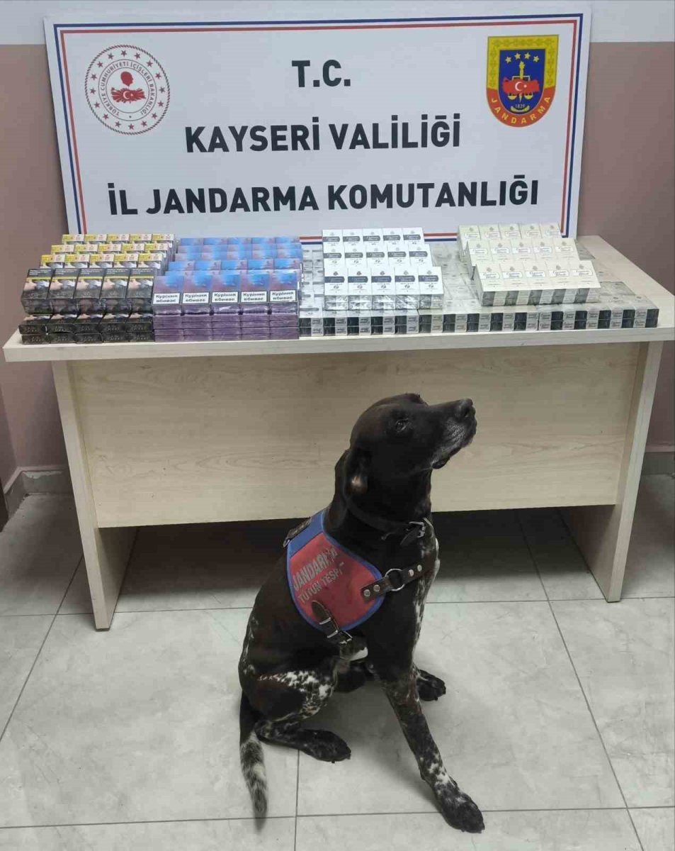 tirdan-560-paket-kacak-sigara-ele-gecirildi-1-gozalti
