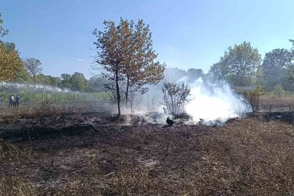 bilecik-pazaryerinde-arazi-yangini-cikti