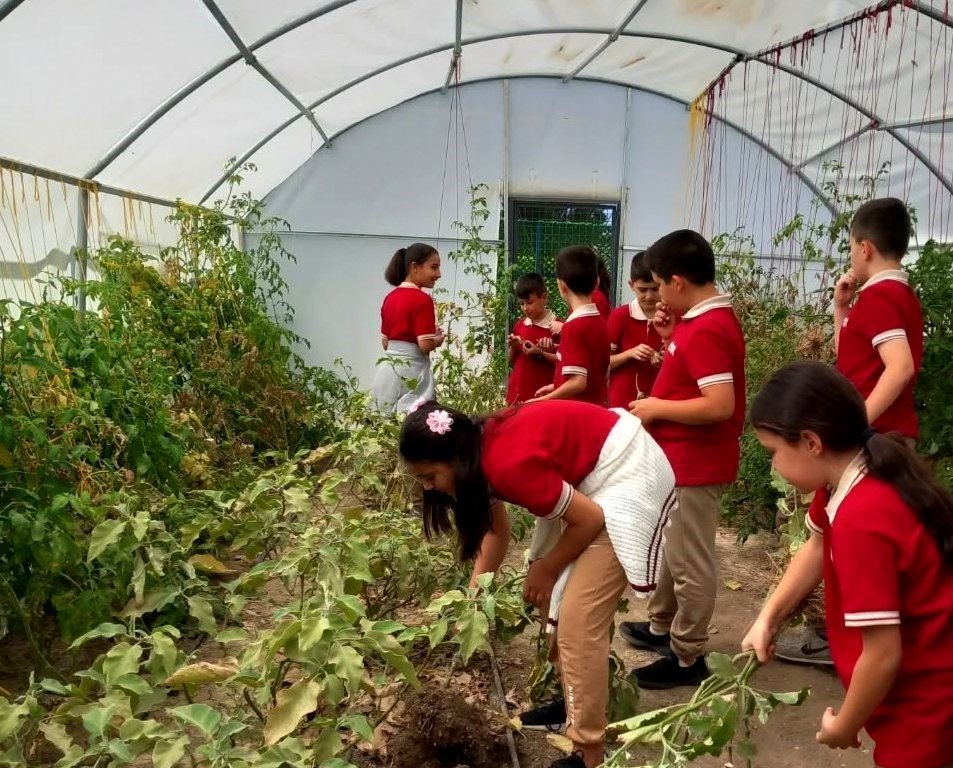 erzincanda-ogrenciler-serada-kis-sebzelerinin-ekimine-basladi