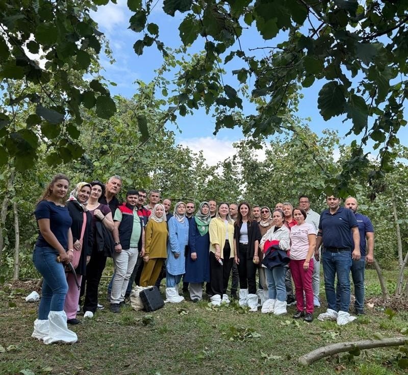 findikta-verim-ve-kalite-arttirilacak