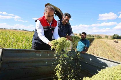 karsta-silajlik-misir-hasadi