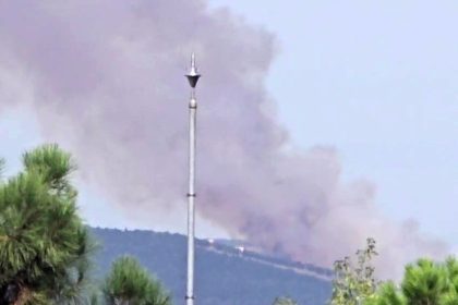 kocaelide-ormanlik-alanda-yangin-cikti
