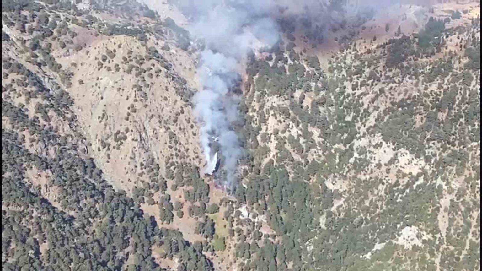 koycegiz-yangini-kontrol-altinda