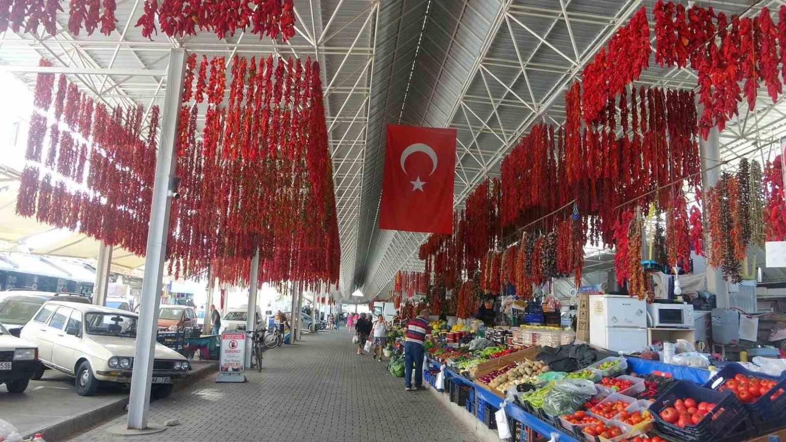 muglada-kurutmaliklar-yurt-disina-acildi