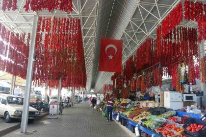 muglada-kurutmaliklar-yurt-disina-acildi