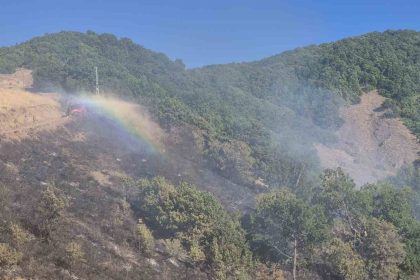 tuncelide-kirsal-alanda-yangin-havadan-ve-karadan-mudahale-suruyor