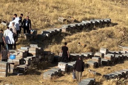 yuksekovada-bal-hasadi-basladi