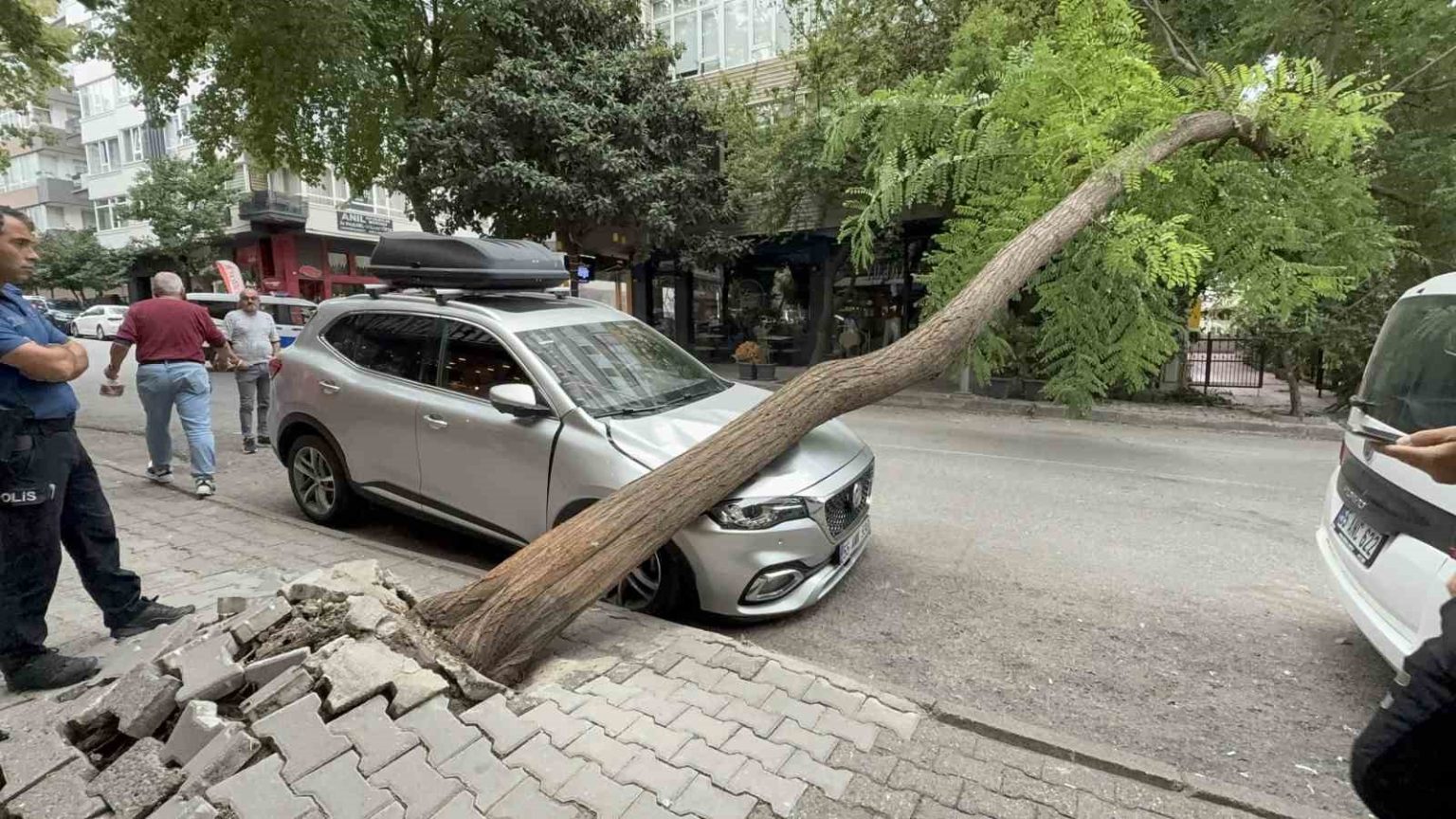 agac-otomobilin-uzerine-devrildi