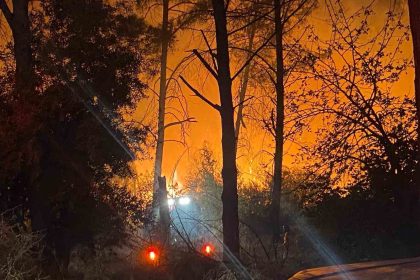 antalyada-ormanlik-alanda-yangin