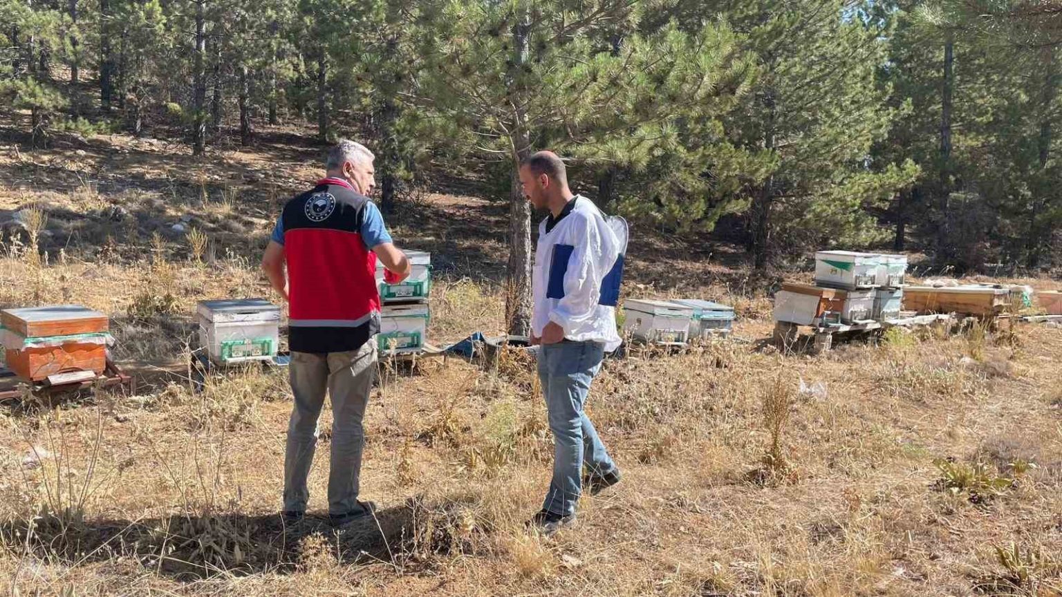 beysehirde-arili-kovan-sayimlari-yapiliyor