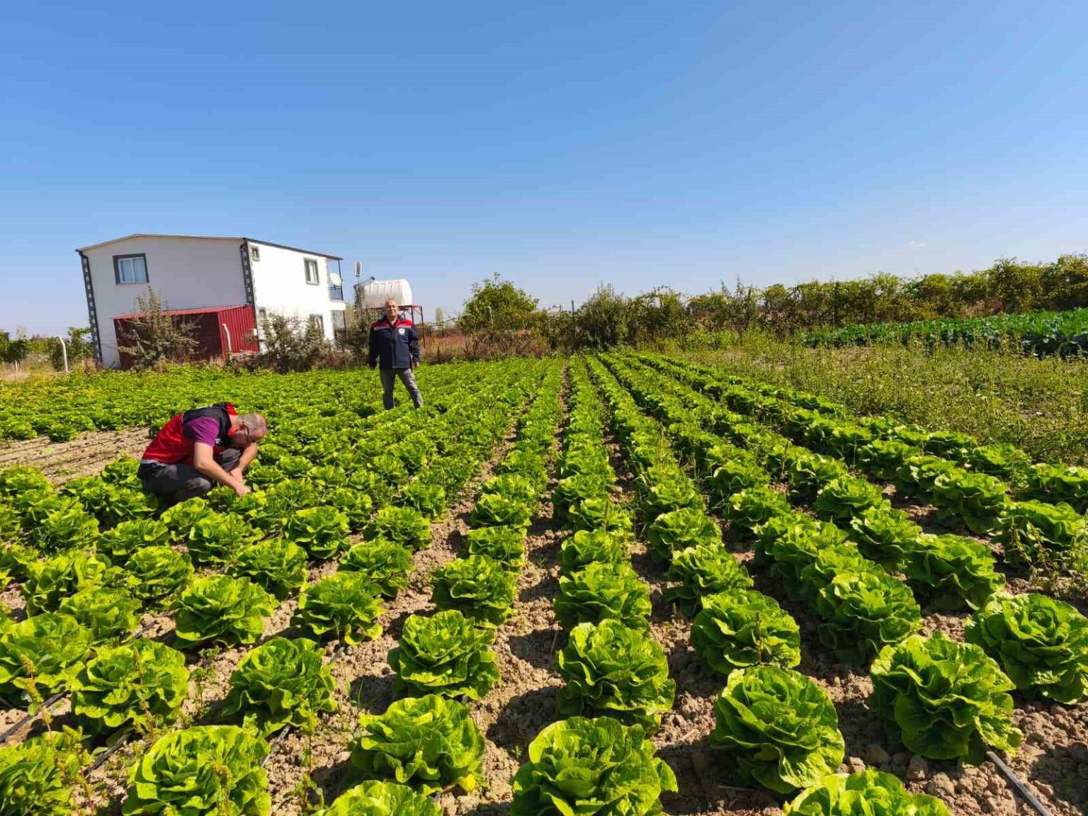 beysehirde-bitkisel-uretim-takip-altinda