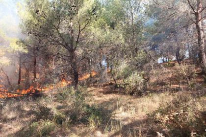 canakkalede-ormanlik-alanda-cikan-yangin-kontrol-altina-alindi