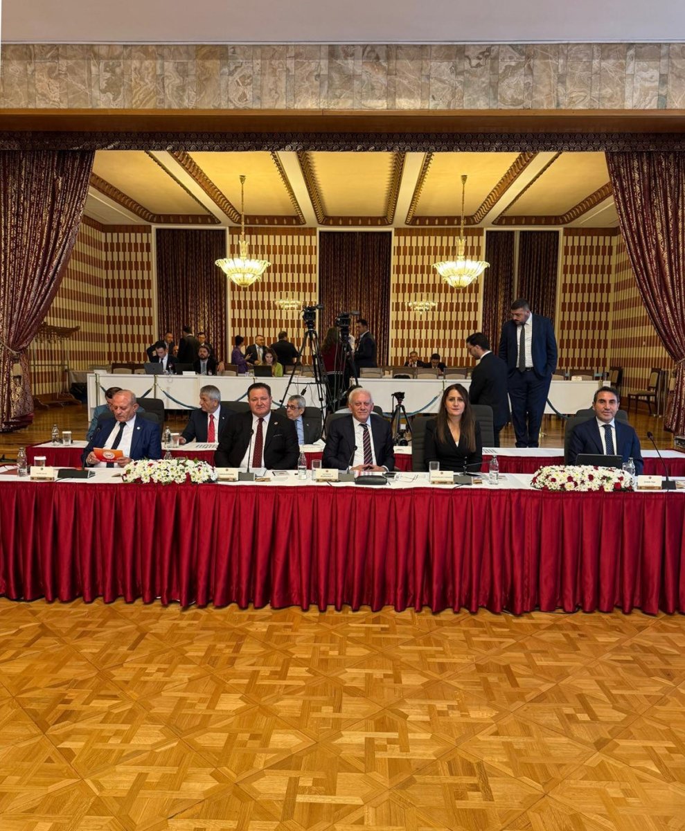 dogu-ve-guneydogu-is-kadinlari-dernegi-baskani-tanaman-tarihi-bir-surecten-geciyoruz