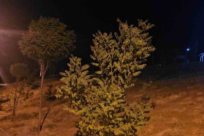 elazigda-kuvvetli-ruzgar-etkisini-surduruyor