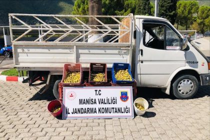 kirkagacta-meyve-bahcesinden-incir-calan-5-kisi-sucustu-yakalandi
