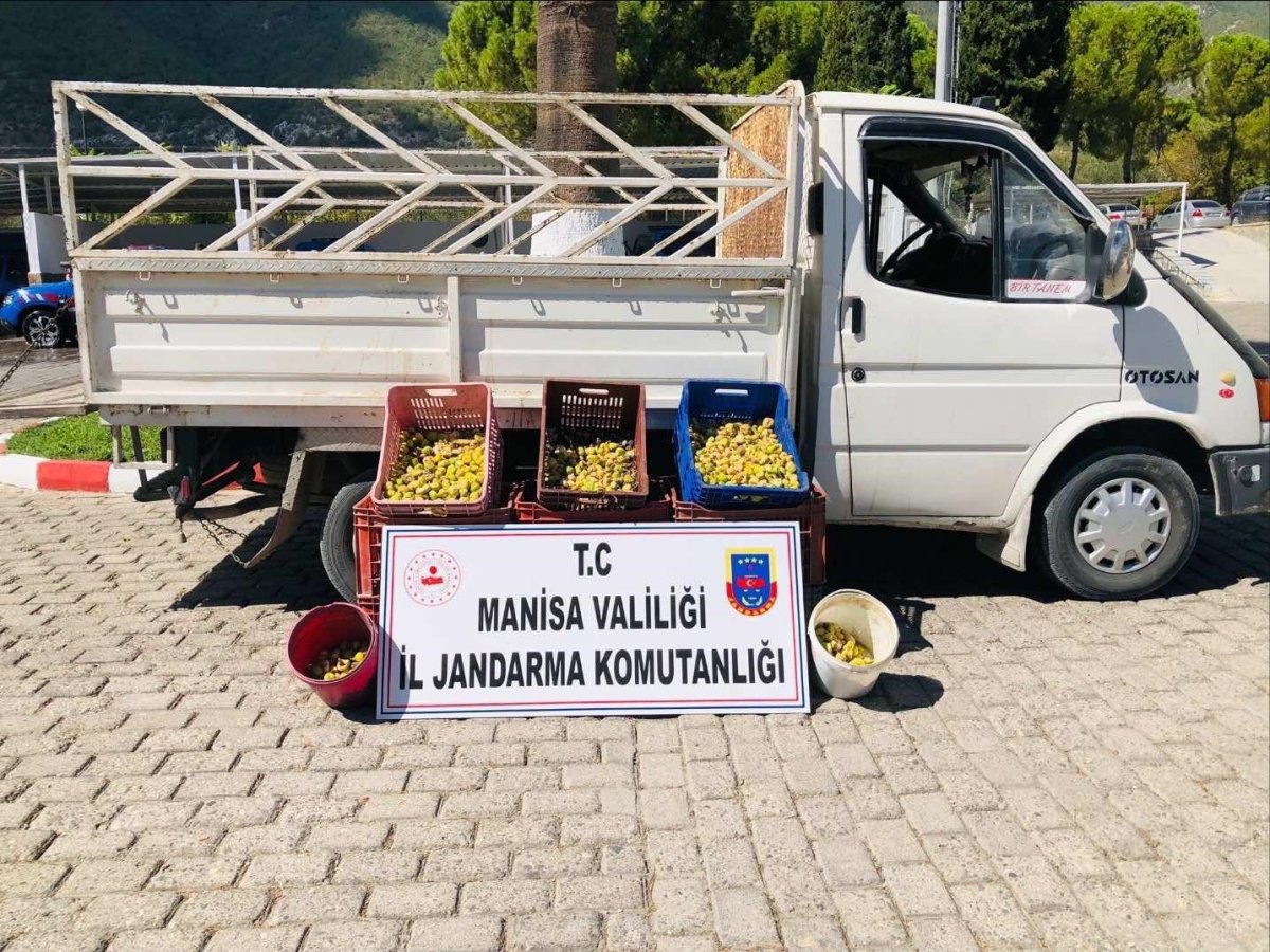 kirkagacta-meyve-bahcesinden-incir-calan-5-kisi-sucustu-yakalandi