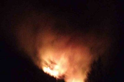 koycegizde-orman-yangini