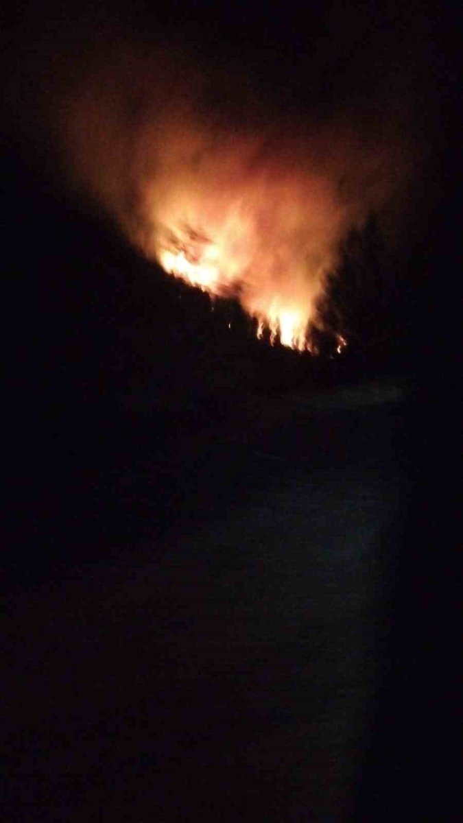 koycegizde-orman-yangini