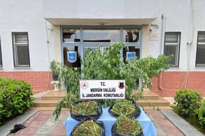 mersinde-zehir-tacirlerine-darbe