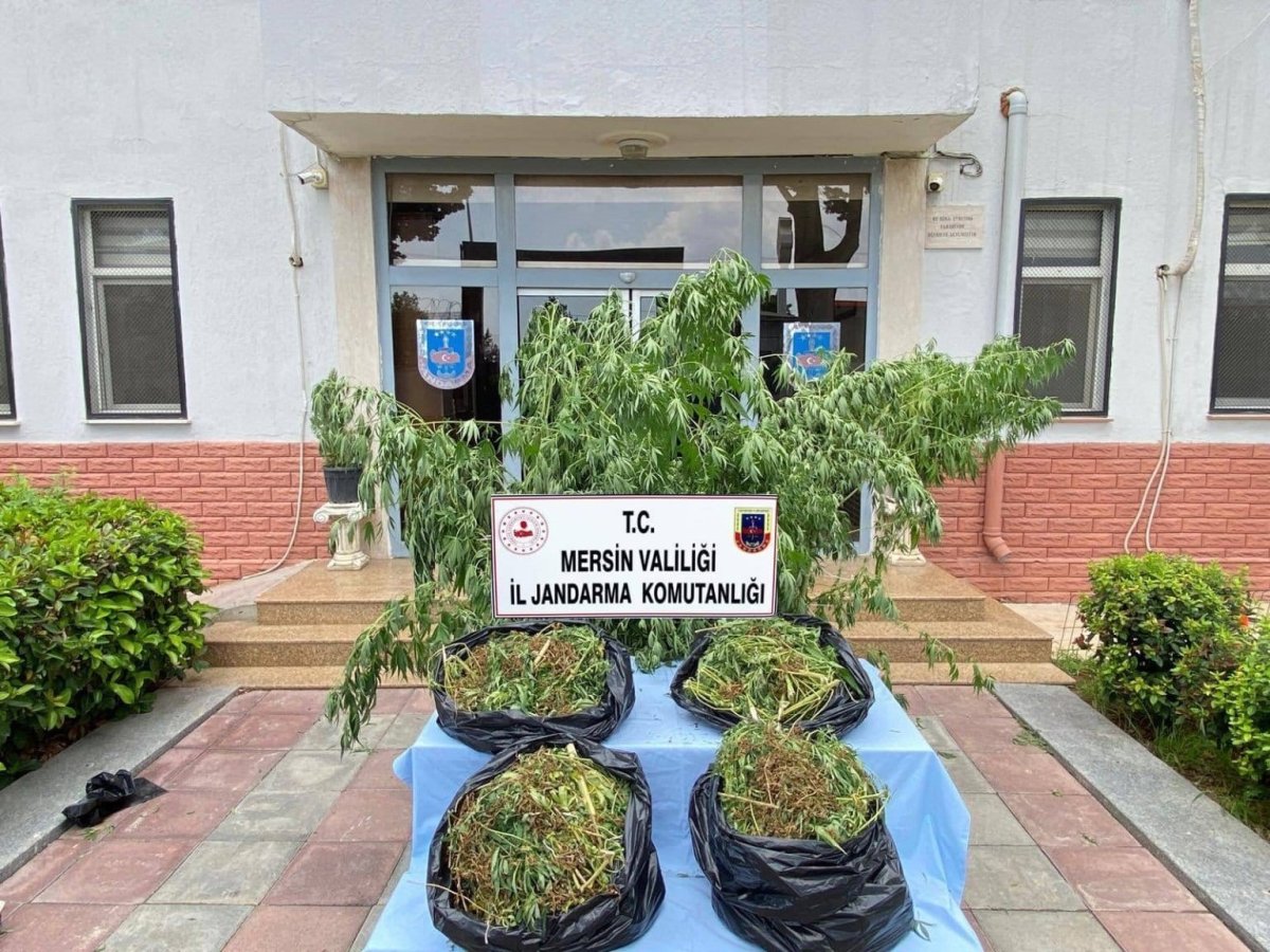 mersinde-zehir-tacirlerine-darbe