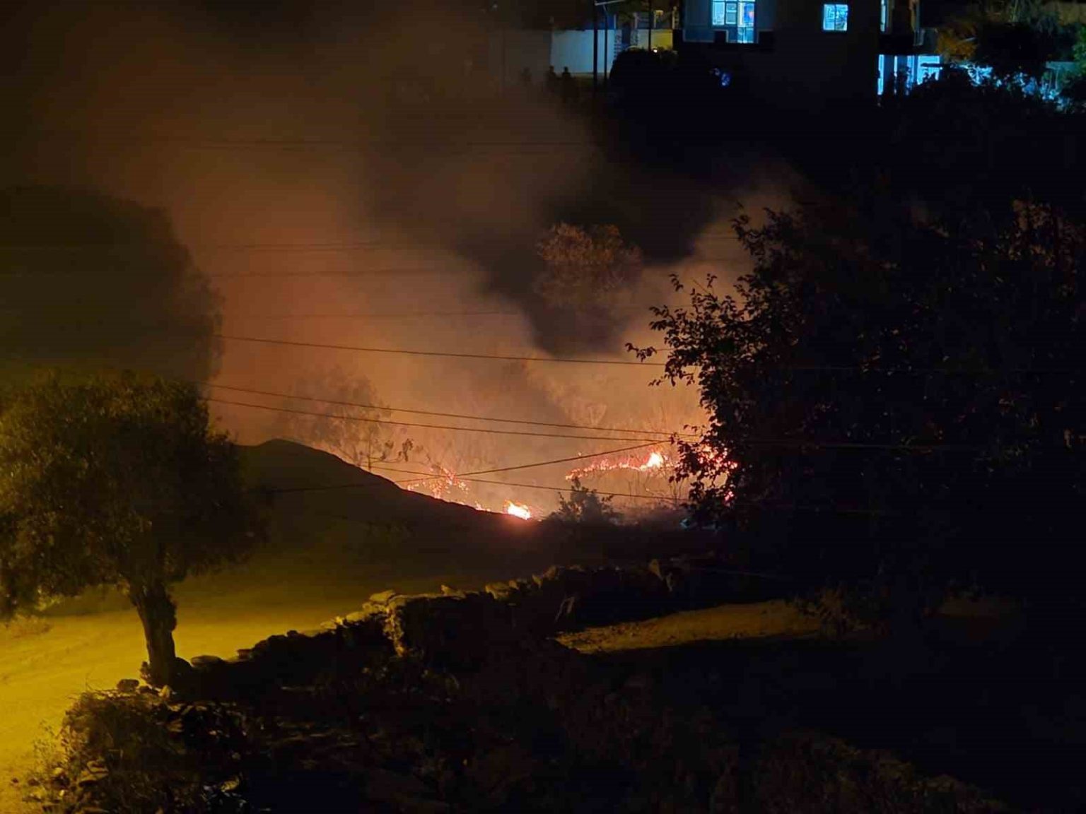 milasta-cikan-sazlik-yangini-hizli-mudahaleyle-kontrol-altina-alindi