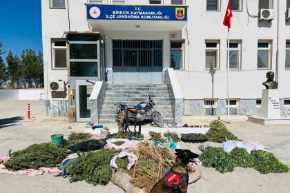 sanliurfada-uyusturucu-operasyonu-3-gozalti