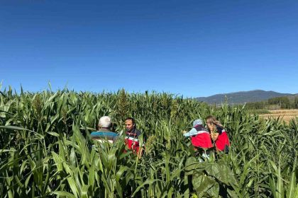 simavda-hasat-kontrolleri