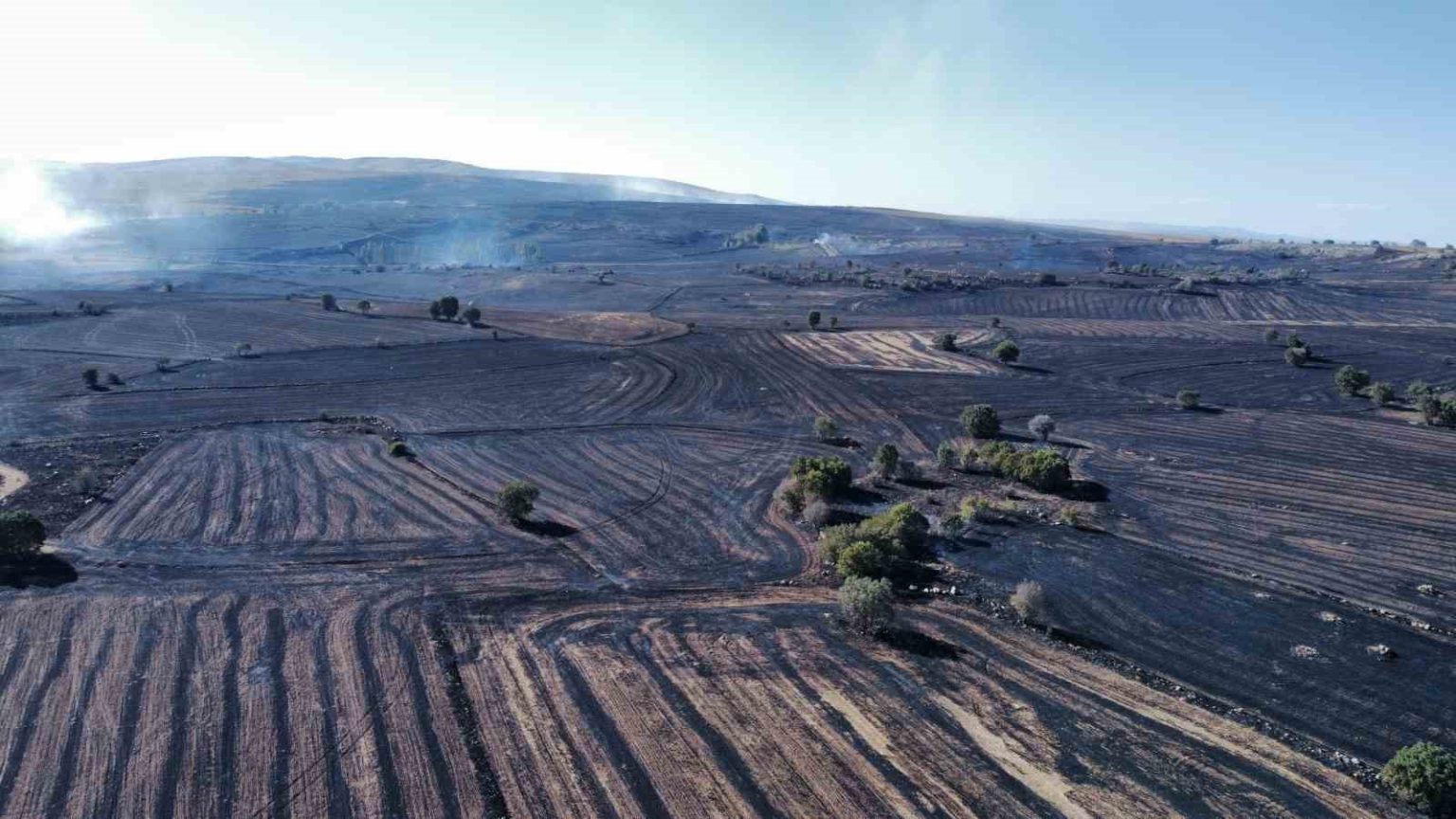 uzmani-uyardi-orman-yanginlarina-karsi-topraktaki-nem-kapasitesini-arttirmaliyiz